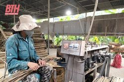 Gỡ khó cho người dân trồng nứa, vầu ở huyện Quan Sơn