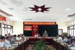 Đề xuất trồng khảo nghiệm một số giống tre trên diện tích đất trồng cao su kém phát triển
