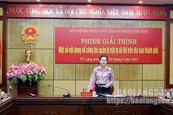 Thường trực HĐND thành phố họp phiên giải trình một số nội dung về công tác quản lý trật tự đô thị