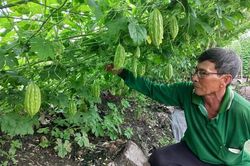 Long An: Phát huy hiệu quả cao từ kinh tế tập thể