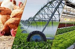 Kết quả tăng trưởng 9 tháng hàm ý điều gì?