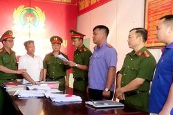 Bắc Giang: Khởi tố đối tượng chặt phá 364 cây rừng phòng hộ
