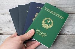 Hướng dẫn 2 cách tra cứu hộ chiếu online đơn giản, chính xác