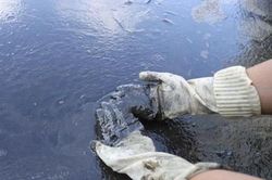 Điều tra nguyên nhân dầu thải đen kịt mặt hồ Linh Đàm