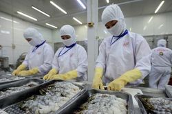 Xuất khẩu thủy sản phát tín hiệu hồi phục