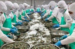 9 tháng, xuất khẩu thủy sản sang thị trường nào thu về tỷ USD?