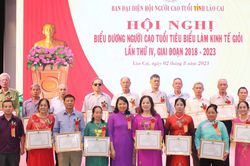 Phát huy vai trò của người cao tuổi trong đời sống