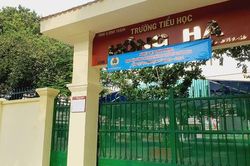 Cần xử lí mạnh tay lãnh đạo trường học để xảy ra lạm thu