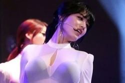 Ở Việt Nam, ai cầm mic đi hát cũng là ca sĩ, nhưng ở Hàn Quốc thì không
