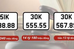 493 biển số ô tô được đấu giá thành công với tổng số tiền gần 215 tỷ đồng