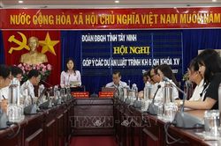 Tây Ninh: Góp ý các dự án luật trình Kỳ họp thứ 6, Quốc hội khóa XV