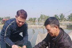 Hải Phòng: Tìm đầu ra ổn định cho làng nghề cá giống lớn nhất miền Bắc