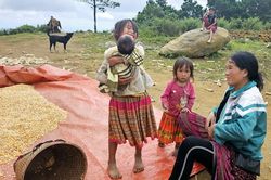 Chính sách ưu đãi đối với doanh nghiệp sử dụng nhiều lao động nữ