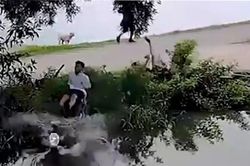 Phóng nhanh, mất lái, xe máy lao thẳng xuống ao