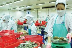 Bộ Tài chính từ chối một số kiến nghị của VASEP