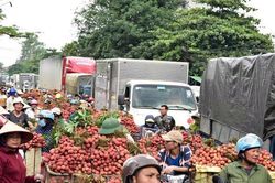 Dự án nâng cấp Quốc lộ 31 qua 'thủ phủ' vải thiều Lục Ngạn về đích sớm 3 tháng