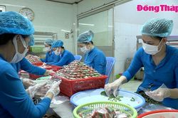Hỗ trợ phát triển sản phẩm OCOP theo hướng bền vững