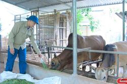Chủ tịch Hội Nông dân xã năng động, gương mẫu