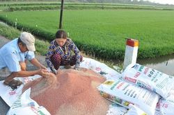 Cục Bảo vệ thực vật: Giá phân bón giảm so với mức cao nhất, chứ không tăng