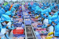 Xuất khẩu thủy sản: Sẽ khởi sắc vào năm 2024?