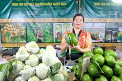 Sắp tôn vinh 100 nông dân, 63 hợp tác xã nông nghiệp tiêu biểu toàn quốc