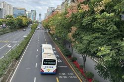 Thư Hàng Châu: Có một Hàng Châu rất xanh