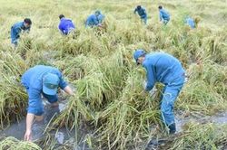 Ống kính bạn đọc: Kịp thời giúp dân khắc phục hậu quả thiên tai