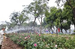 Hà Nội đầu tư hơn 886 tỷ đồng để cải tạo, nâng cấp 3 công viên lớn
