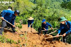 Tuổi trẻ Nghệ An xung kích cùng người dân khắc phục hậu quả sau lũ