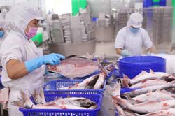 Nắm bắt cơ hội từ nhịp điều chỉnh, VNDirect điểm tên 5 cổ phiếu tiềm năng