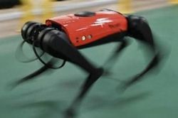 Clip chó robot vận chuyển đĩa ném tại Asiad 19