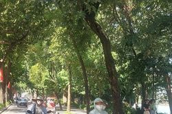 Tiết trời oi ả trong 2 ngày tới