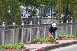 Cận cảnh loạt thửa rau mini, trồng trên những tấc đất vàng ở giữa Thủ đô