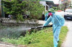 Khuyến cáo người dân Hà Nội không tự ý điều trị sốt xuất huyết tại nhà