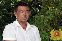 Băng 'siêu trộm' cuỗm hàng loạt cây mai cổ trị giá hàng tỷ đồng ở miền Tây