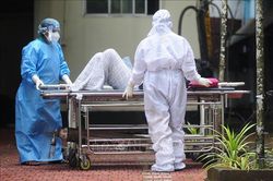 Chưa phát hiện ca nhiễm mới virus Nipah tại Ấn Độ
