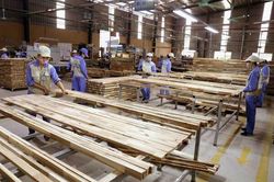 Doanh nghiệp gỗ đã được hoàn hơn 2.000 tỷ đồng thuế giá trị gia tăng