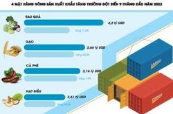 Cơ quan hải quan hỗ trợ tích cực cho xuất khẩu nông sản