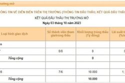 Ngân hàng Nhà nước đã phát hành 110.000 tỷ đồng qua kênh tín phiếu