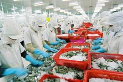 Xuất khẩu thủy sản sang Mỹ, Trung Quốc, Nhật Bản vượt mốc 1 tỷ USD