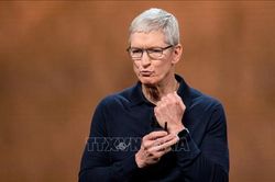 Đợt bán cổ phiếu lớn nhất trong hai năm của CEO Apple