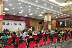 Lãi suất tiết kiệm Agribank hôm nay