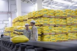 Vượt 'cơn gió ngược', Việt Nam chờ đón những cơ hội mới
