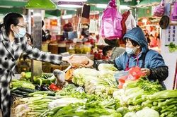 IMF cảnh báo thị trường hàng hóa bị phân mảnh gây nguy hiểm cho an ninh lương thực, chuyển đổi xanh