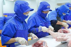 BaF Việt Nam (BAF): Mở công ty chế biến thịt mới, muốn chào bán 68 triệu cổ phiếu trong quý 4