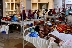 Bangladesh đối mặt với dịch sốt xuất huyết chưa từng có