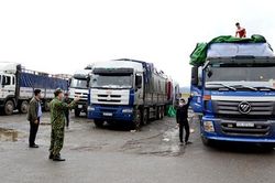 Mỗi ngày có hơn 400 tấn sầu riêng xuất khẩu sang Trung Quốc qua Cửa khẩu Lào Cai