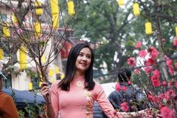 Thông tin mới nhất lịch nghỉ Tết Dương lịch 2024: Ai không được nghỉ 3 ngày?