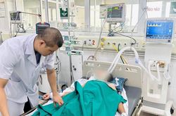 Người đàn ông nguy kịch sau khi bị mèo cắn