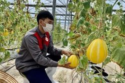 Nhiều chính sách hiệu quả giúp kinh tế vượt khó